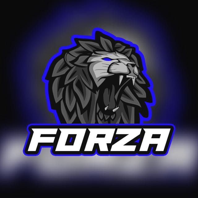 FORZA TEAM